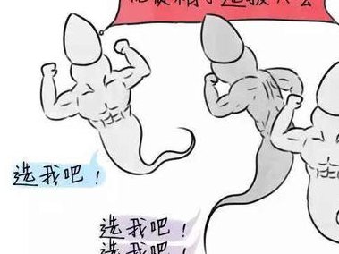 格鲁吉亚三代试管婴儿费用评估，价值与预算一览