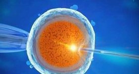 2026年北京公立试管医院收费标准及最新费用明细揭晓