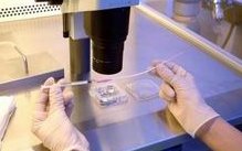 未婚在国内做试管婴儿是不是合法的？