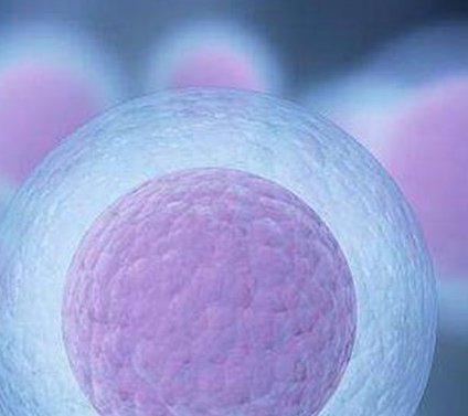 北京市不孕不育医院哪个医院做试管比较好？