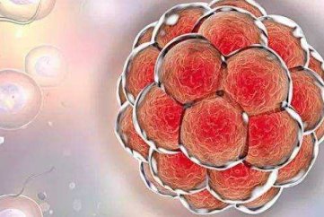 2026泌乳素高影响试管移植着床吗多少钱？