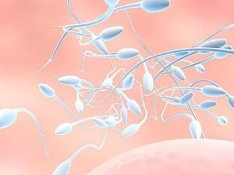 青岛做三代试管婴儿价格大概多少钱？