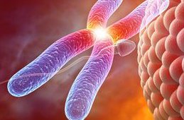 女性输卵管为什么会粘连？输卵管粘连还能做试管婴儿吗？